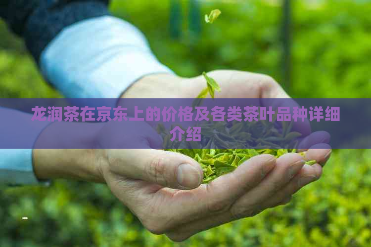 龙润茶在京东上的价格及各类茶叶品种详细介绍