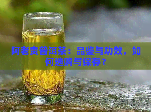 阿老贵普洱茶：品鉴与功效，如何选购与保存？