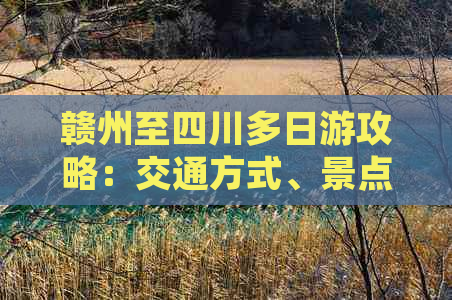 赣州至四川多日游攻略：交通方式、景点推荐及行程安排