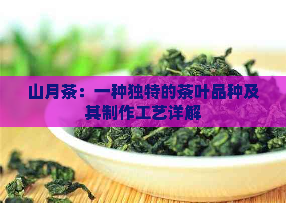 山月茶：一种独特的茶叶品种及其制作工艺详解