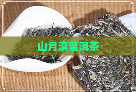 山月滇普洱茶