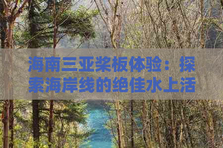 海南三亚桨板体验：探索海岸线的绝佳水上活动指南