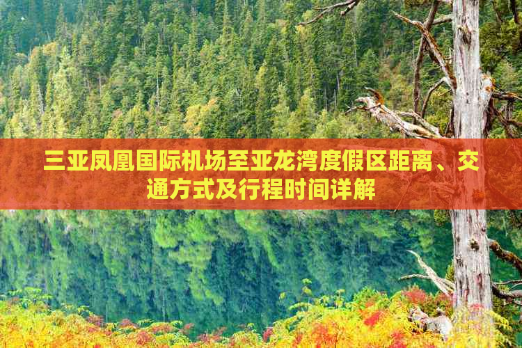 三亚凤凰国际机场至亚龙湾度假区距离、交通方式及行程时间详解