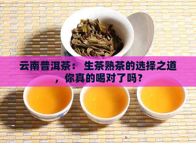 云南普洱茶： 生茶熟茶的选择之道，你真的喝对了吗？