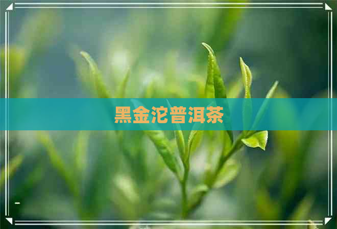 黑金沱普洱茶