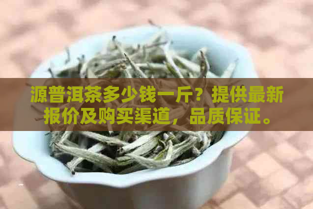 源普洱茶多少钱一斤？提供最新报价及购买渠道，品质保证。