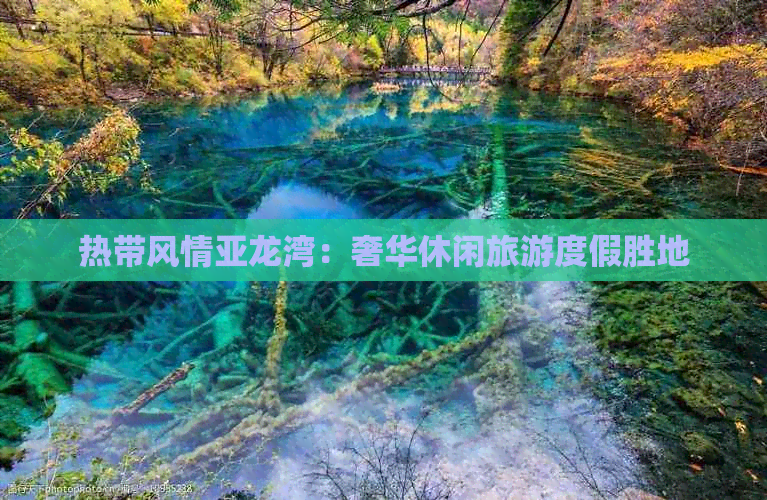 热带风情亚龙湾：奢华休闲旅游度假胜地