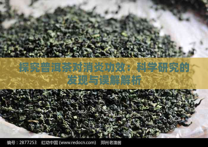 探究普洱茶对消炎功效：科学研究的发现与误解解析