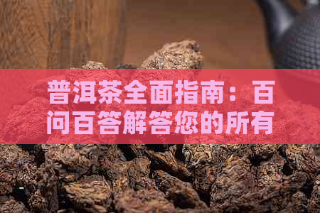 普洱茶全面指南：百问百答解答您的所有疑惑