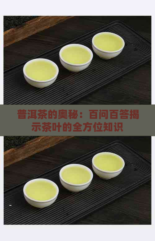 普洱茶的奥秘：百问百答揭示茶叶的全方位知识