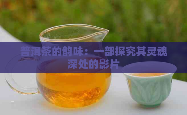 普洱茶的韵味：一部探究其灵魂深处的影片