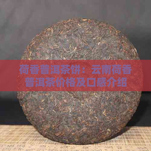 荷香普洱茶饼：云南荷香普洱茶价格及口感介绍