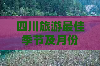 四川旅游更佳季节及月份选择攻略：全年出行建议与景点推荐