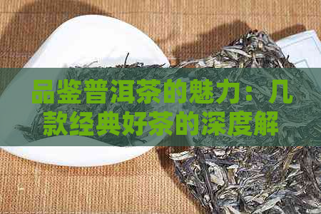 品鉴普洱茶的魅力：几款经典好茶的深度解析与品饮体验