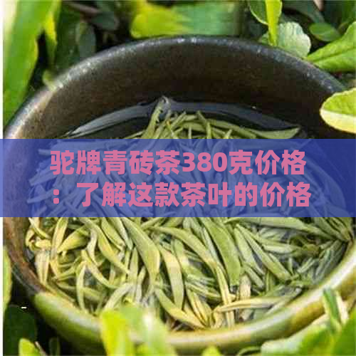 驼牌青砖茶380克价格：了解这款茶叶的价格信息！