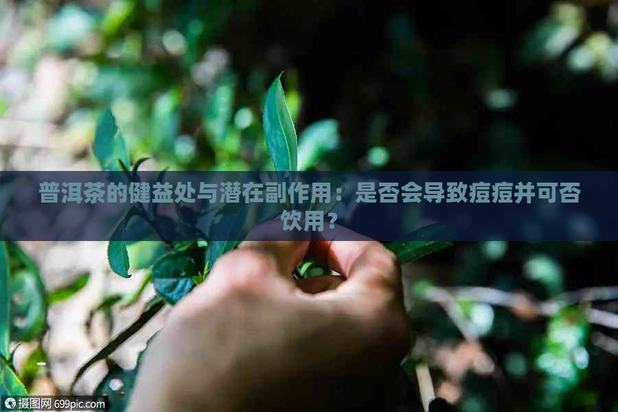 普洱茶的健益处与潜在副作用：是否会导致痘痘并可否饮用？