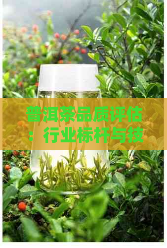 普洱茶品质评估：行业标杆与技术革新