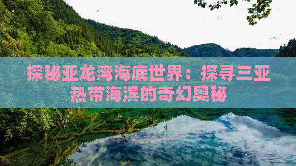 探秘亚龙湾海底世界：探寻三亚热带海滨的奇幻奥秘