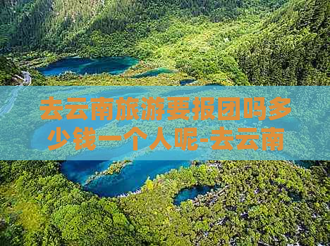 去云南旅游要报团吗多少钱一个人呢-去云南旅游要报团吗多少钱一个人呢