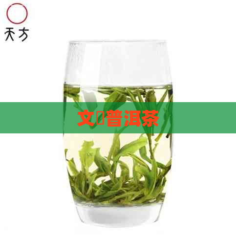 文號普洱茶