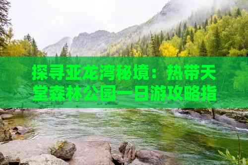 探寻亚龙湾秘境：热带天堂森林公园一日游攻略指南