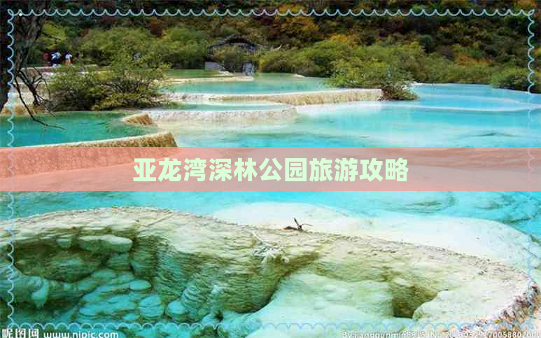 亚龙湾深林公园旅游攻略