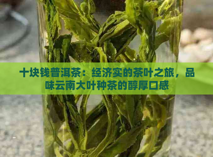 十块钱普洱茶：经济实的茶叶之旅，品味云南大叶种茶的醇厚口感