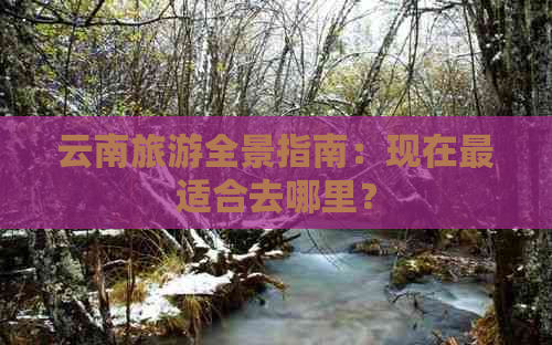 云南旅游全景指南：现在最适合去哪里？