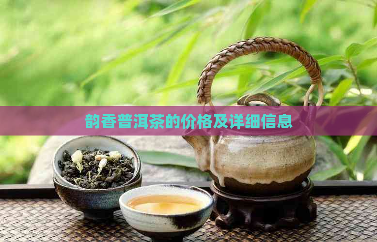 韵香普洱茶的价格及详细信息