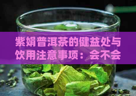 紫娟普洱茶的健益处与饮用注意事项：会不会上火？