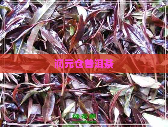 润元仓普洱茶