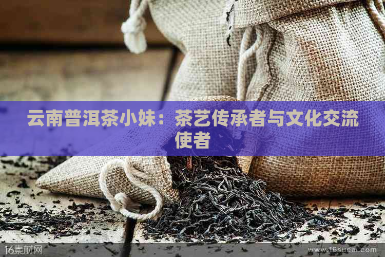 云南普洱茶小妹：茶艺传承者与文化交流使者