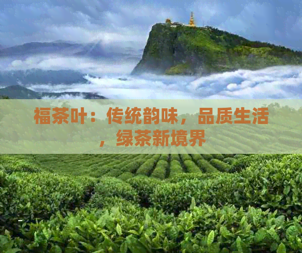 福茶叶：传统韵味，品质生活，绿茶新境界