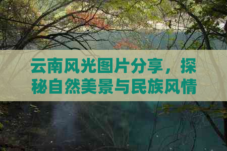 云南风光图片分享，探秘自然美景与民族风情