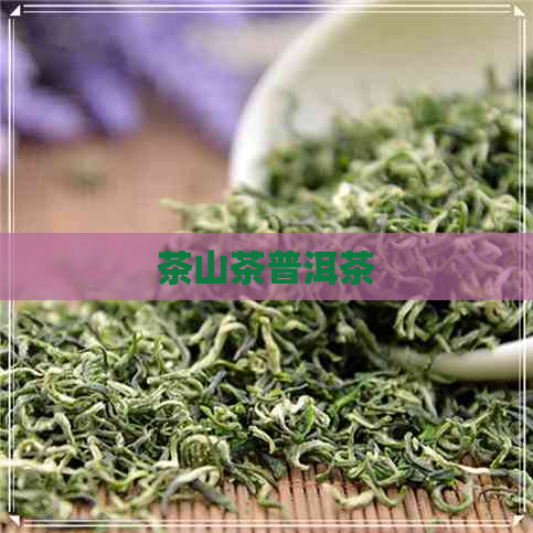 茶山茶普洱茶