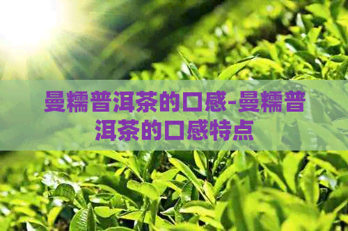 曼糯普洱茶的口感-曼糯普洱茶的口感特点