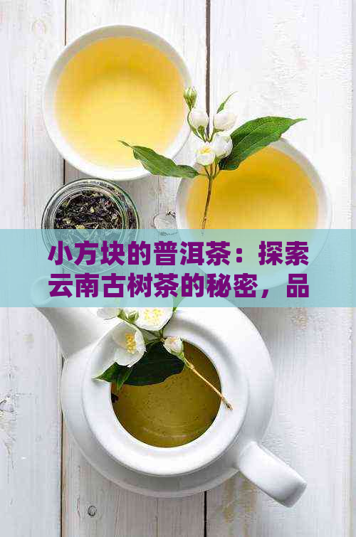 小方块的普洱茶：探索云南古树茶的秘密，品味极致醇厚口感