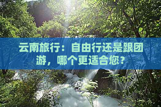 云南旅行：自由行还是跟团游，哪个更适合您？