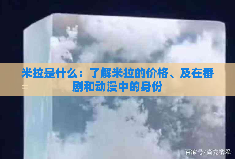 米拉是什么：了解米拉的价格、及在番剧和动漫中的身份