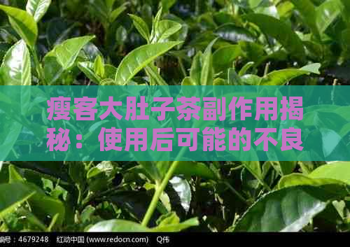 瘦客大肚子茶副作用揭秘：使用后可能的不良反应及应对方法全面解析