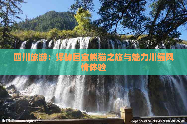 四川旅游：探秘国宝熊猫之旅与魅力川蜀风情体验