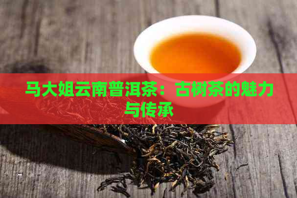 马大姐云南普洱茶：古树茶的魅力与传承