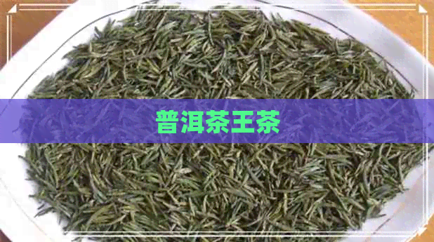 普洱茶王茶