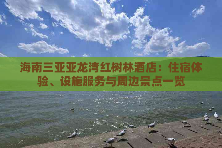 海南三亚亚龙湾红树林酒店：住宿体验、设施服务与周边景点一览