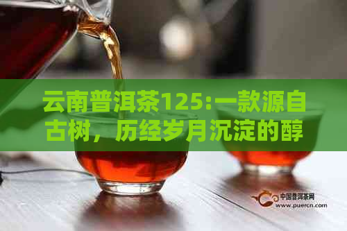 云南普洱茶125:一款源自古树，历经岁月沉淀的醇香之选