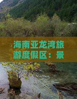 海南亚龙湾旅游度假区：景点攻略、住宿推荐与游玩必备指南