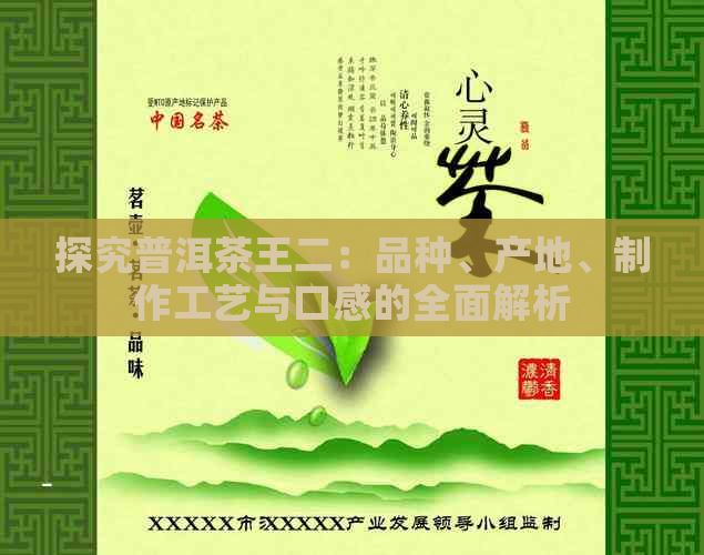 探究普洱茶王二：品种、产地、制作工艺与口感的全面解析