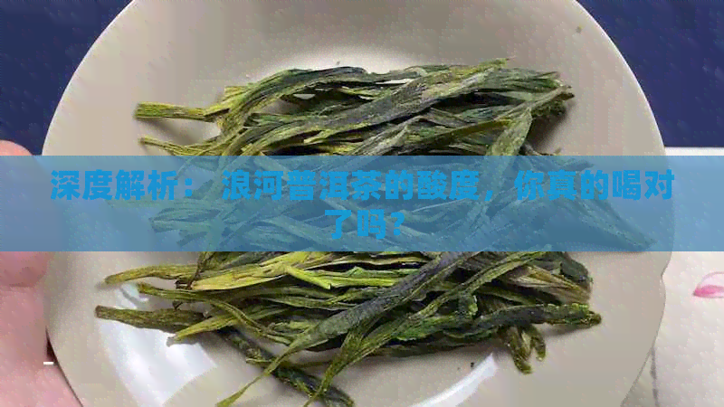 深度解析： 浪河普洱茶的酸度，你真的喝对了吗？