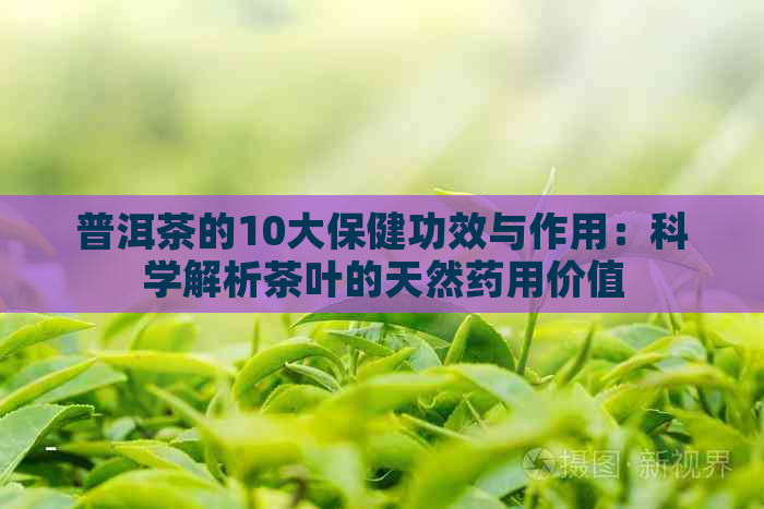 普洱茶的10大保健功效与作用：科学解析茶叶的天然药用价值