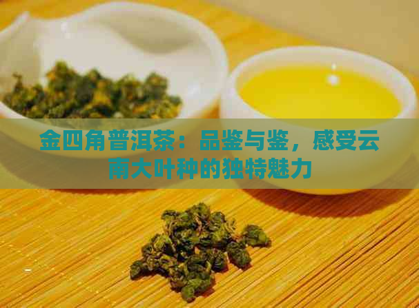 金四角普洱茶：品鉴与鉴，感受云南大叶种的独特魅力